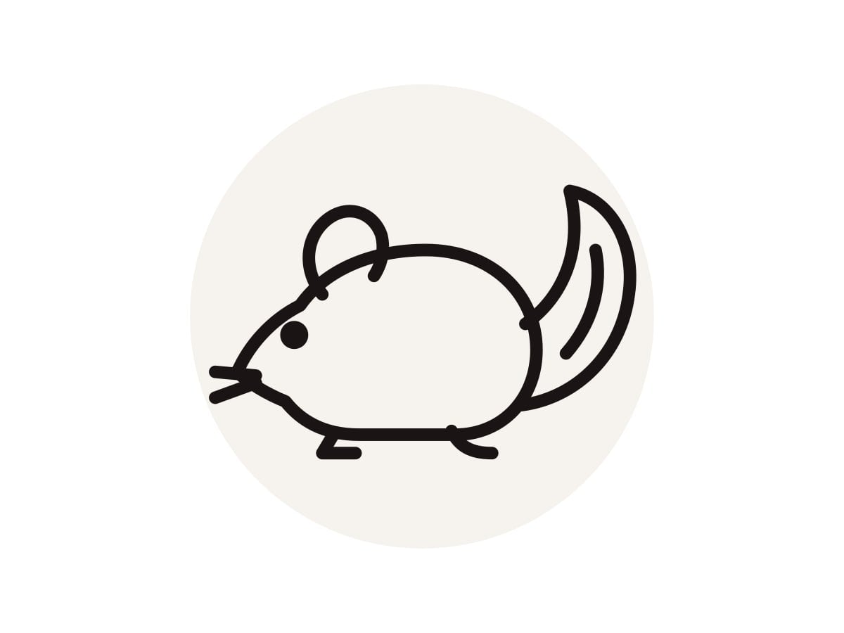 Image of Dormice